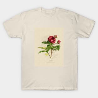 June Flower Birth Month Illustration T-Shirt